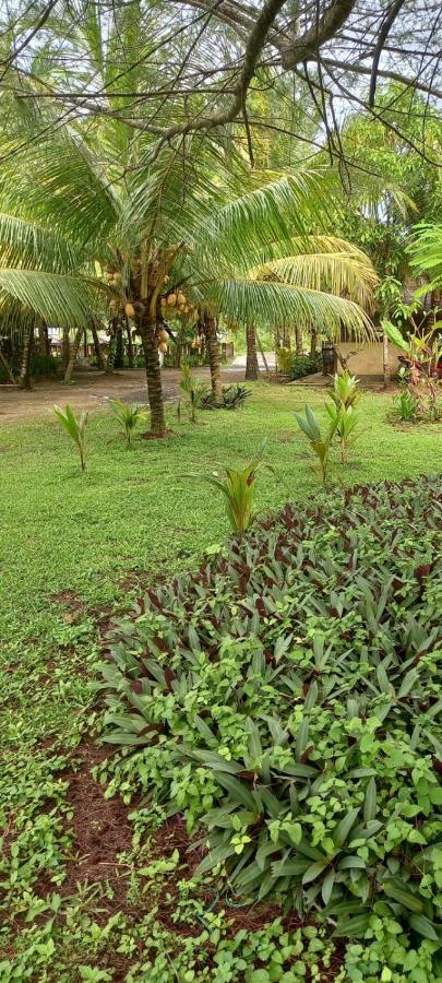 Selong Belanak Bungalows Exteriör bild